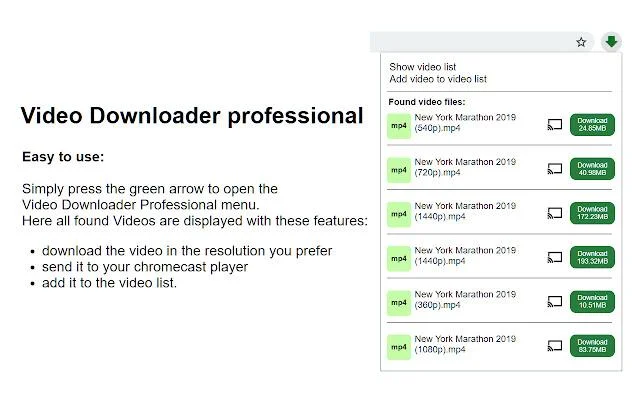 10 Ekstensi Chrome Untuk Download Video Terbaik 2 video downloader chrome extension - Video Downloader professional