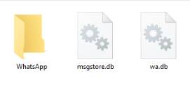 MSGSTORE File