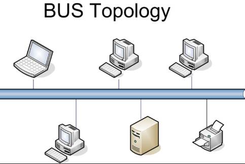 jaringan topologi bus
